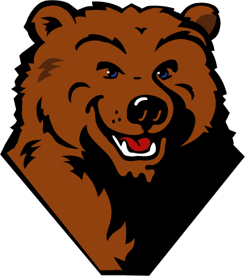 UCLA Bruins 1998-2003 Mascot Logo DIY iron on transfer (heat transfer)